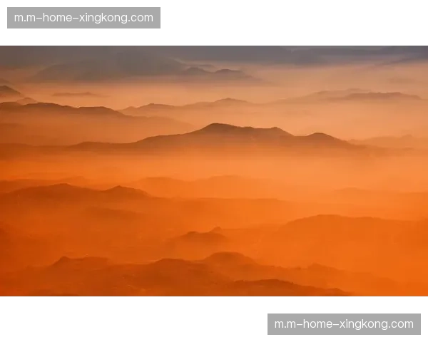 高动态范围成像标准普及 还原赛场高反差细节质感